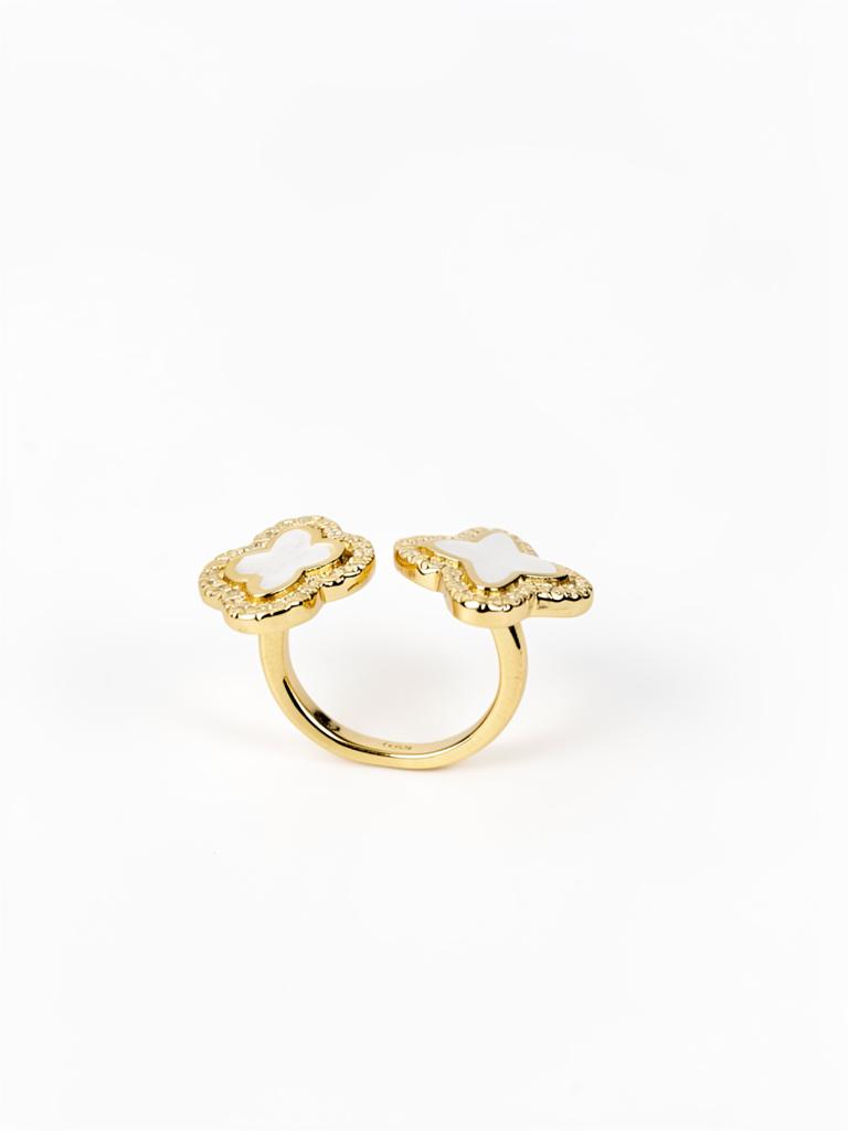 Miniatura 2 de Anillos