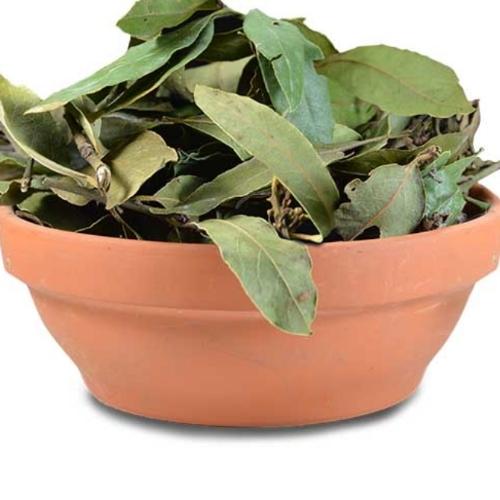 Laurel 