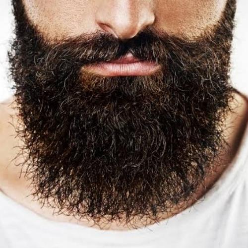 Barba
