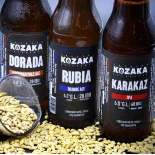 Cerveza Artesanal Kozaka Rubia Caja 24und