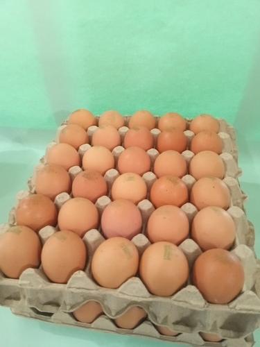 Cajilla de huevos