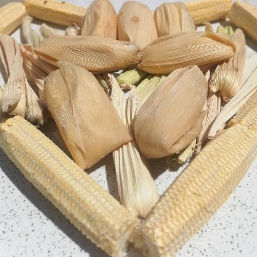 Bollo limpio
