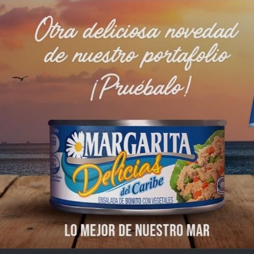 D389 Bonito MARGARITA CON VEGETALES. 165GR×35