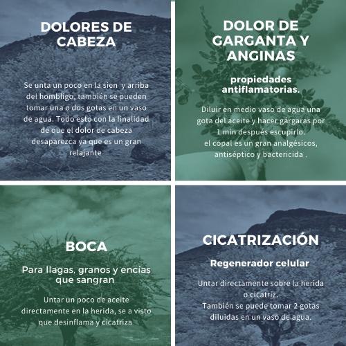 Aceite de copal capacidad 5 ml