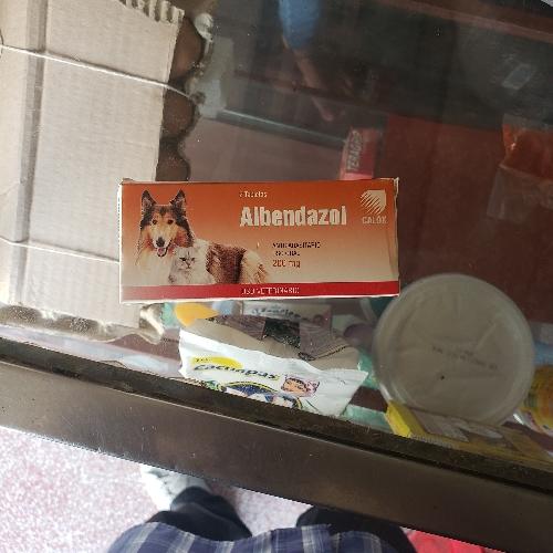 Albendazol 2 pastillas antiparasitario