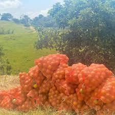Bulto de Naranja 