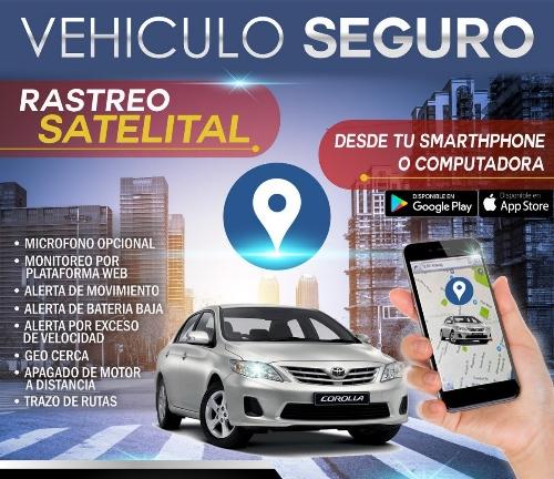 GPS CON 1 AÑO DE "PLATAFORMA PROFESIONAL"