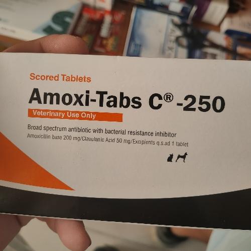 Amoxicilina + ácido clavu