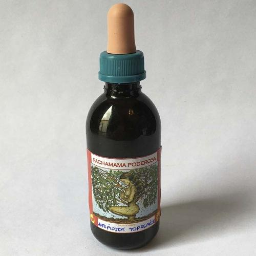Antipiojos Natural Pachamama Poderosa más de 100 colocaciones No precisa enjuague $12.000