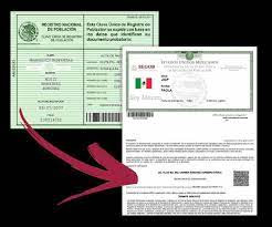  CURP C/Identificacion 