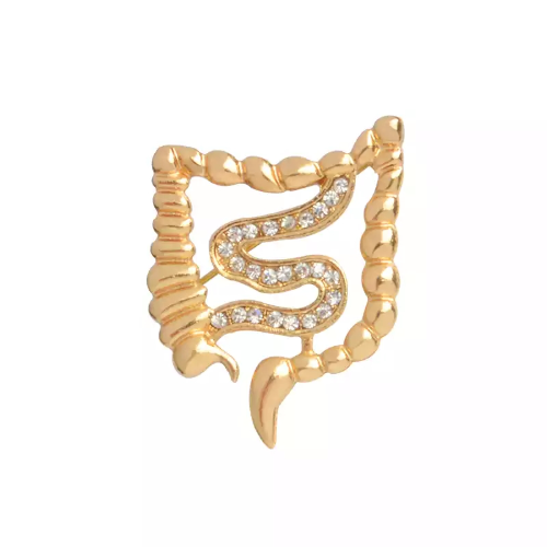 Broche de intestino dorado