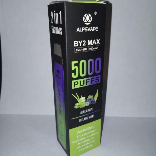 By2 max grape mint