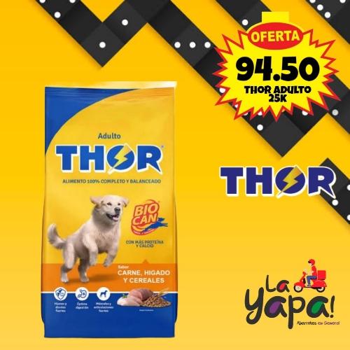THOR ADULTO 25K
