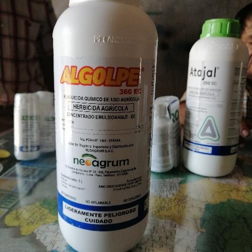 Algolpe 360 EC