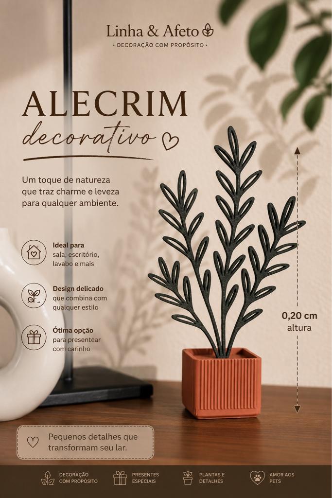 Alecrim decorativo