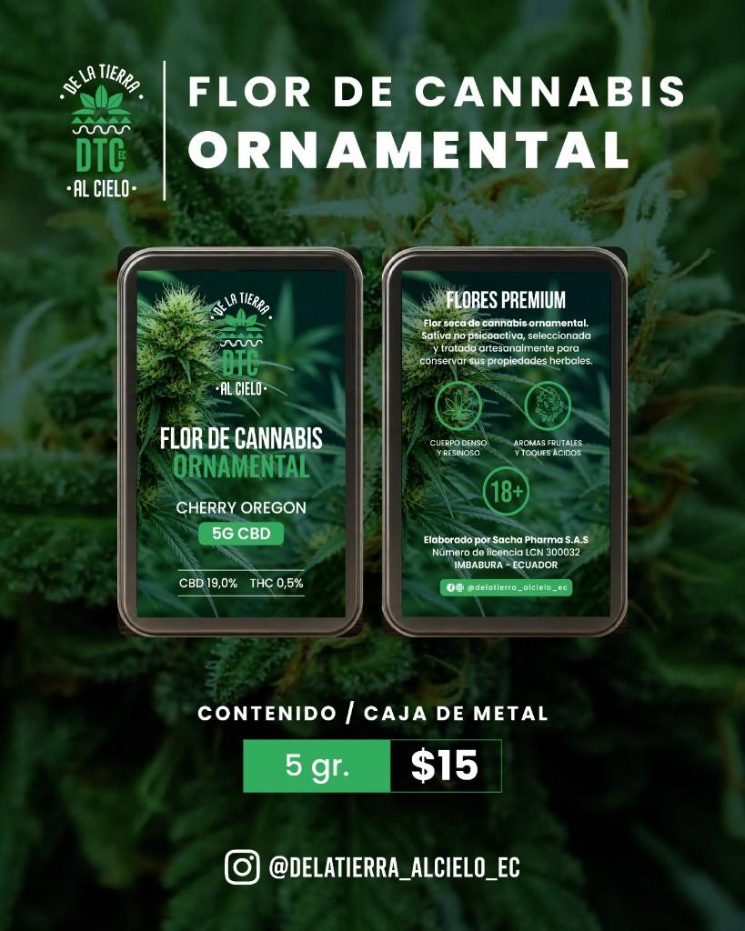 Flor de cannabis ornamental Cherry Oregon 5g