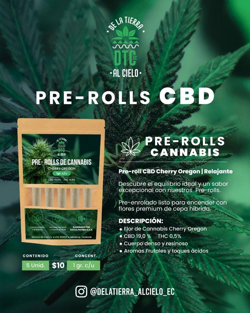Pre-rolls CBD Cherry Oregon