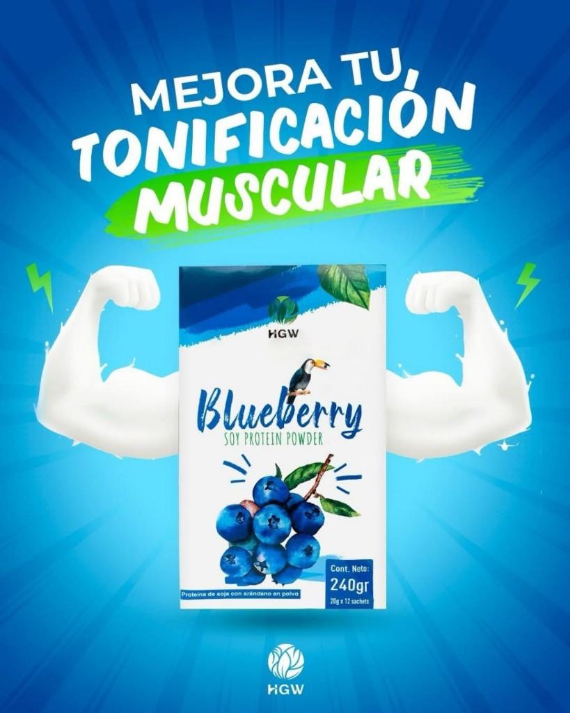 Blueberry Protein Powder 240gr