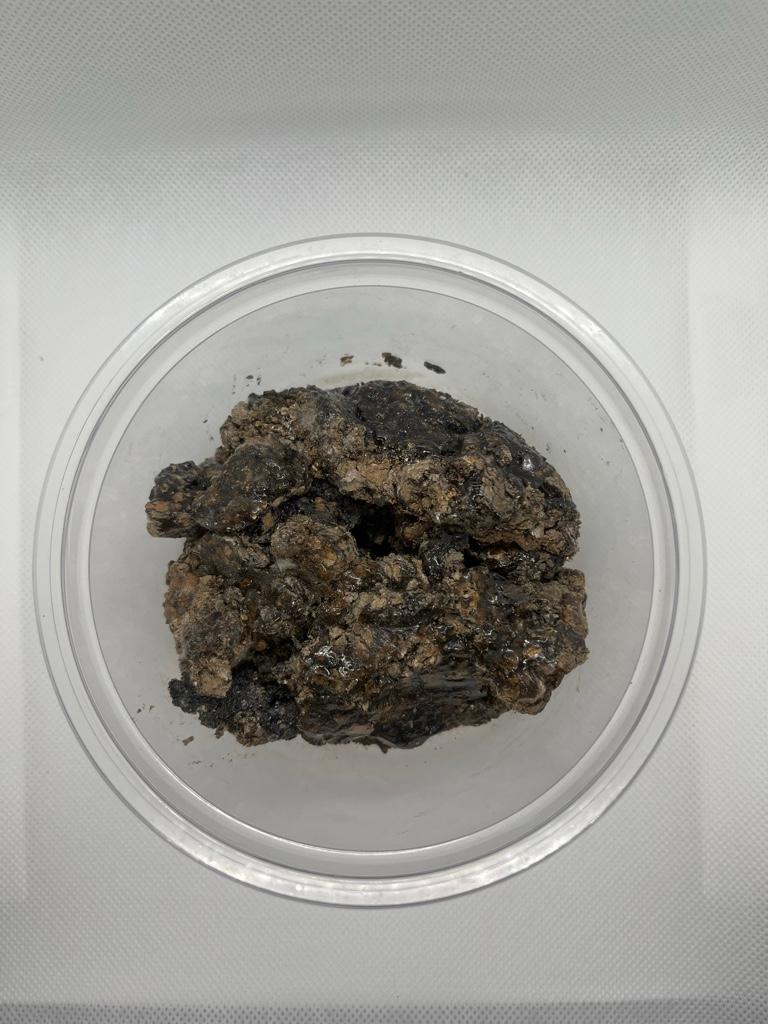 Geopropolis 100g