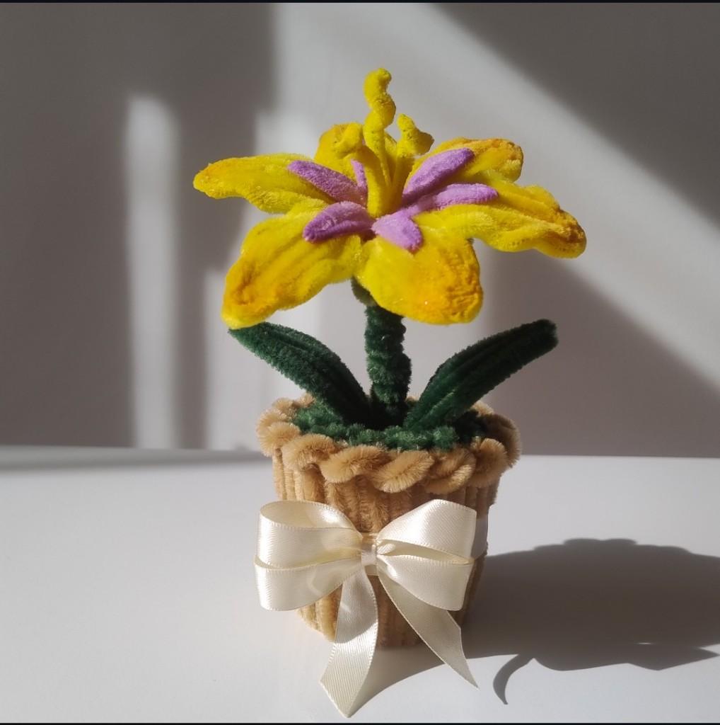 Flor de Rapunzel
