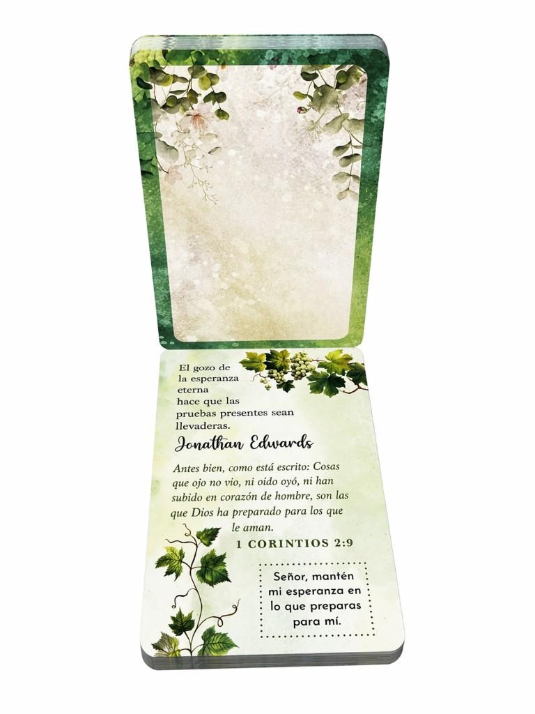 Miniatura 2 de 100 meditaciones de esperanza