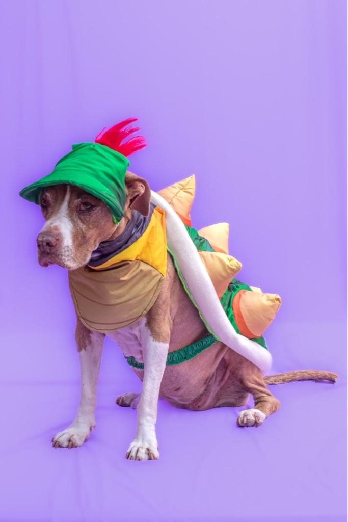 Bowser