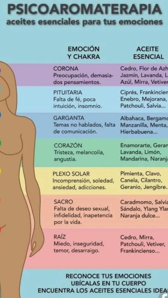 Miniatura 3 de ACEITES ESENCIALES Y ESENCIAS