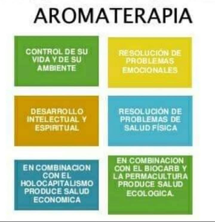 Miniatura 2 de ACEITES ESENCIALES Y ESENCIAS