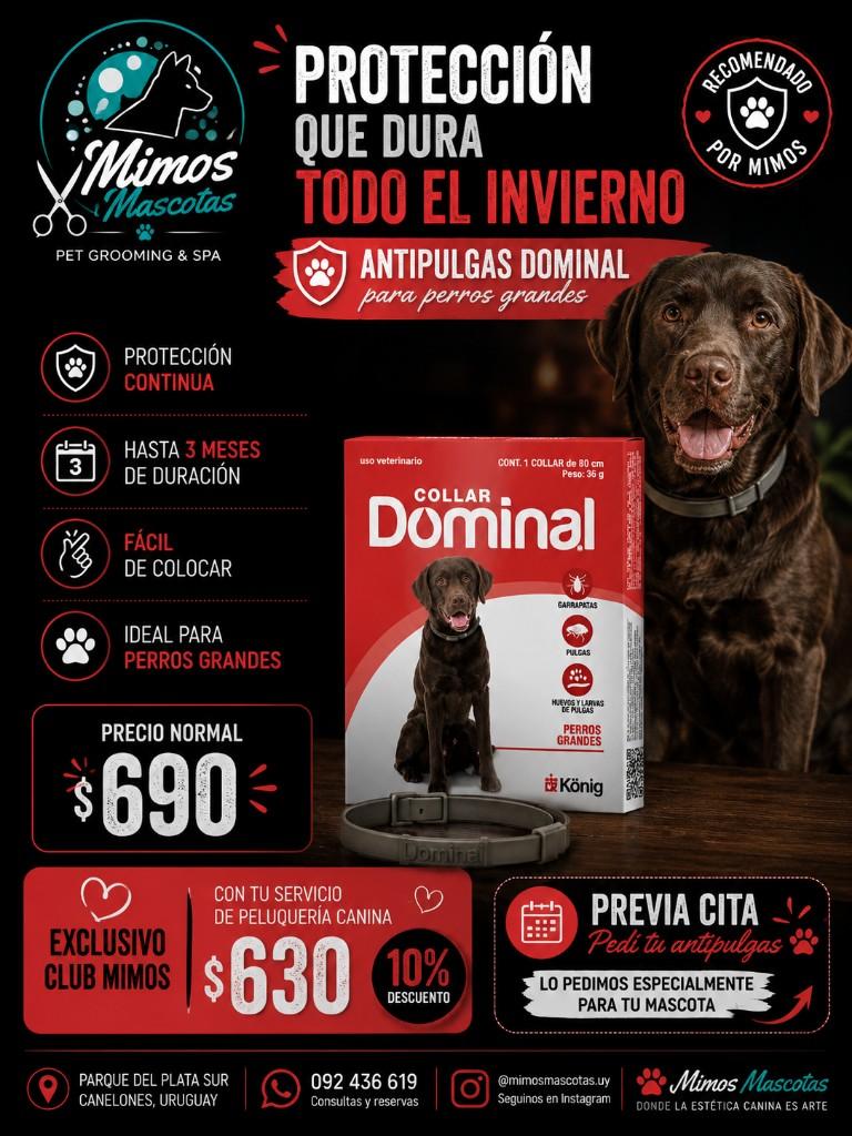 Colar dominal grande