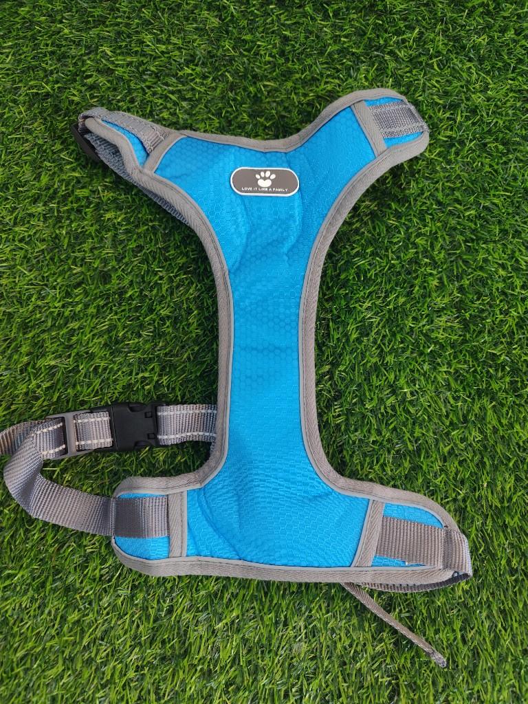Arnes azul para perro XL