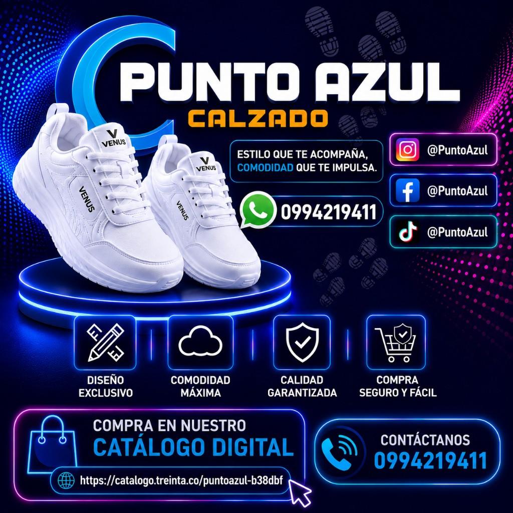 Punto Azul S A