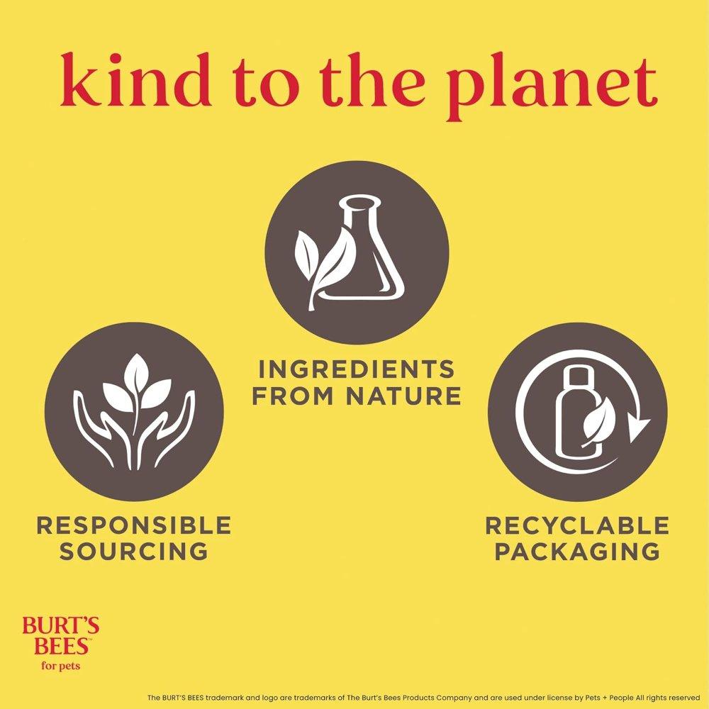 Miniatura 2 de Burts Bees Shampoo Control puntos calientes y picazón