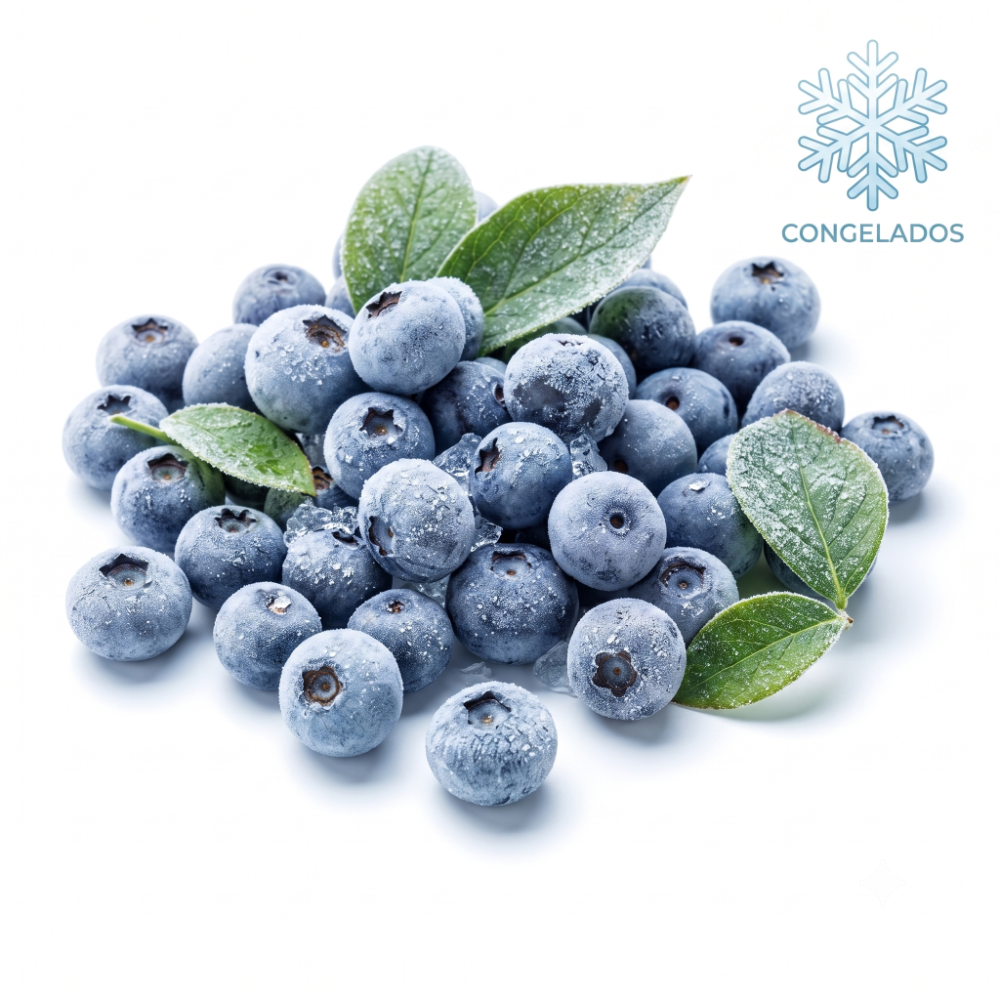 Arándanos congelados x 500 g
