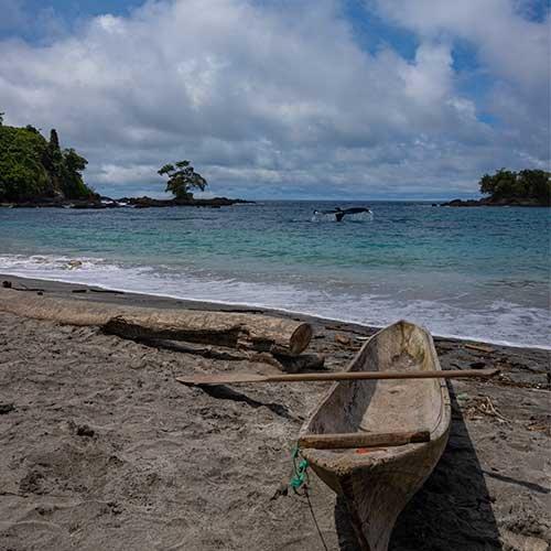 Miniatura 2 de Nuquí - Mar Pacifico Chocó 4D 3N