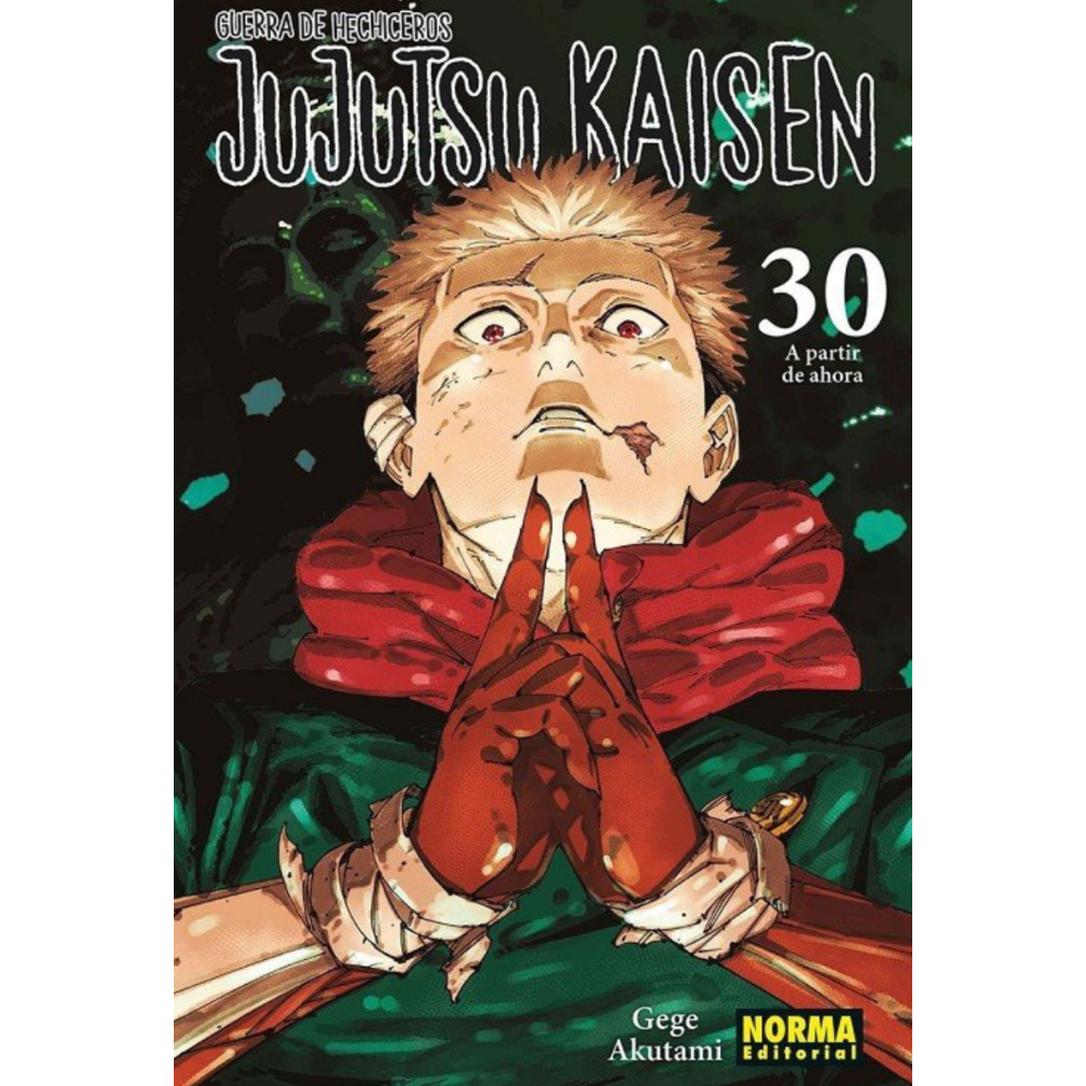 JUJUTSU KAISEN NORMA #30