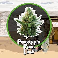  Pineapple Rime Lime Fem DeliriumSeeds (Packs: X1)