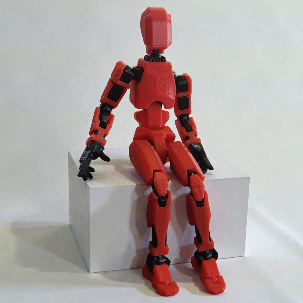 Dummy 13