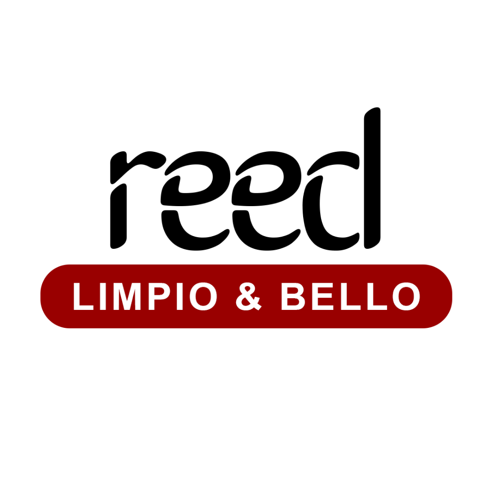 Reed Limpio Bello