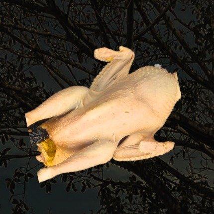 GALLINA VIEJA PZA 1.4 KG APROX