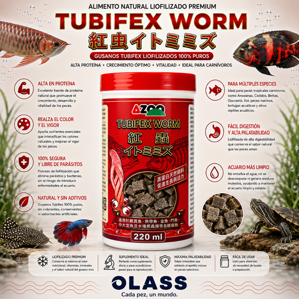 Miniatura 2 de  TUBIFEX WORM