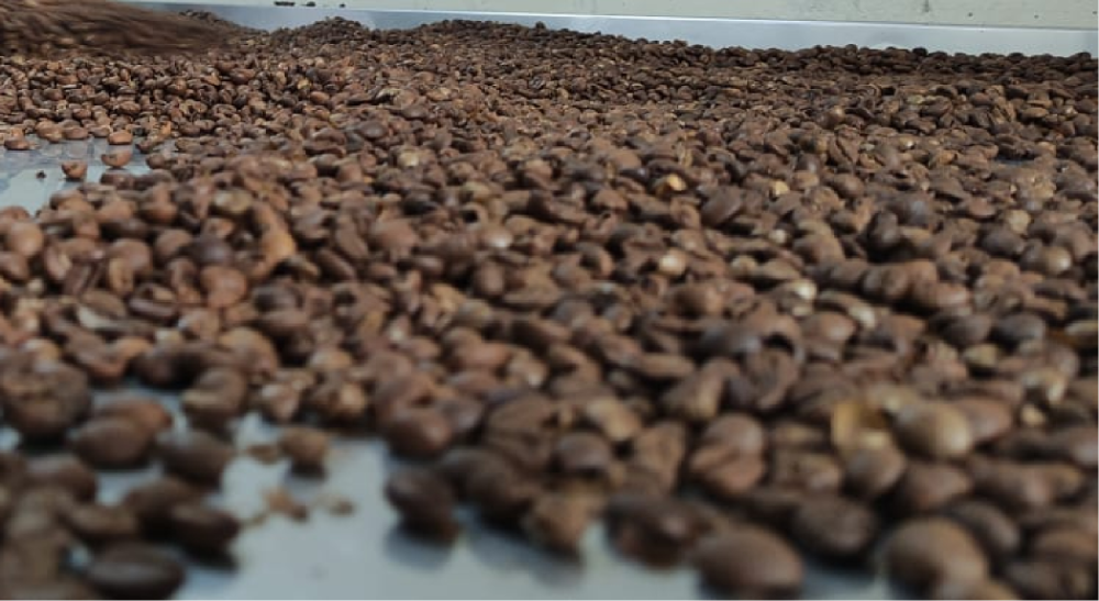 Miniatura 3 de CAFÉ ROBUSTA TOSTADO MOLIDO 450gm