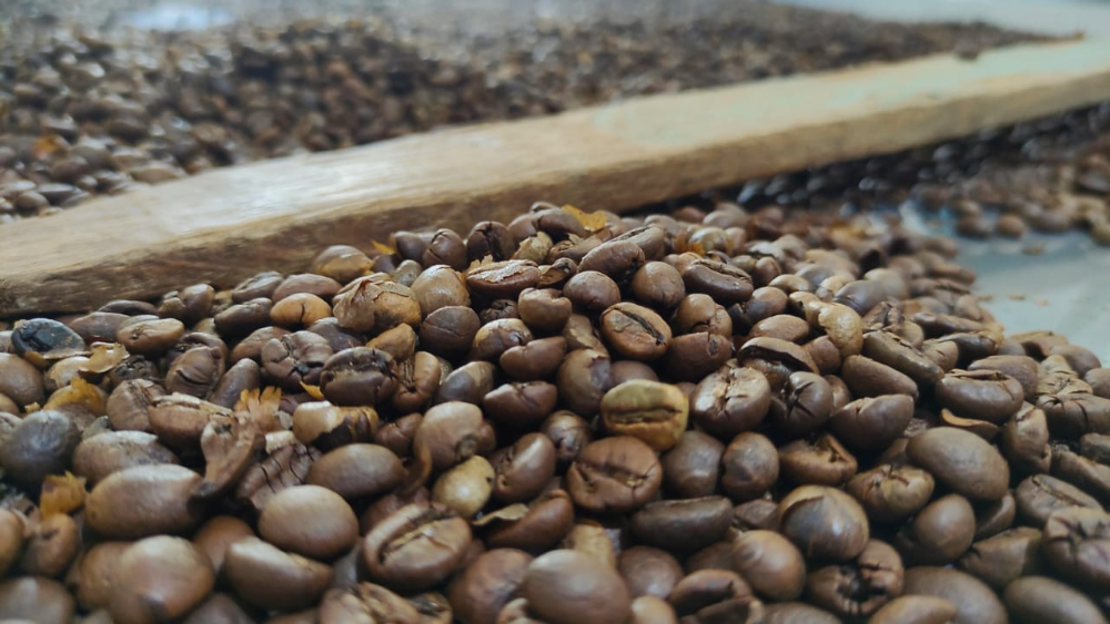 Miniatura 2 de CAFE TOSTADO EN GRANO 450gm