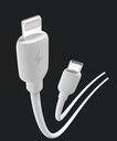ABLE CYRO TIPO C-LIGHTNING MODX-00JC – XAEA – BLANCO
