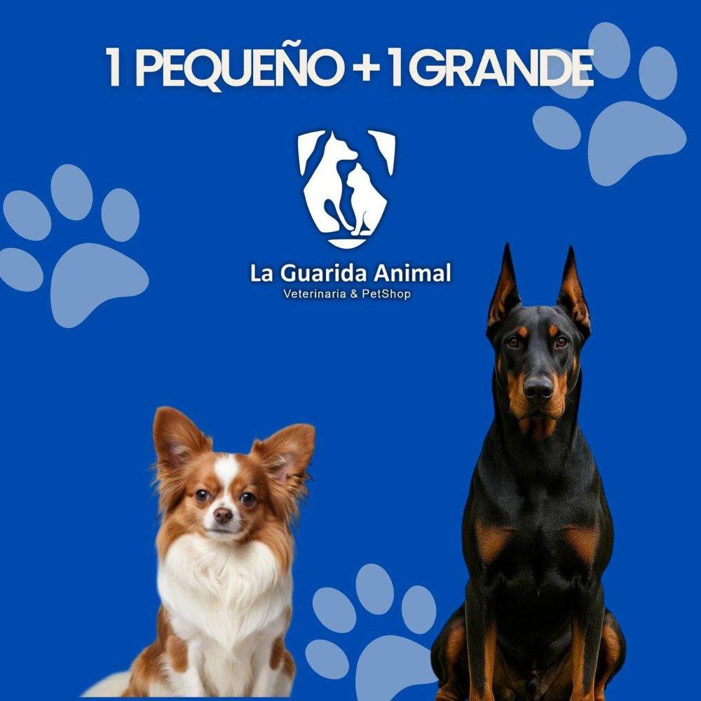 Plan Mensual Combo 1 Pequeño 1 Grande