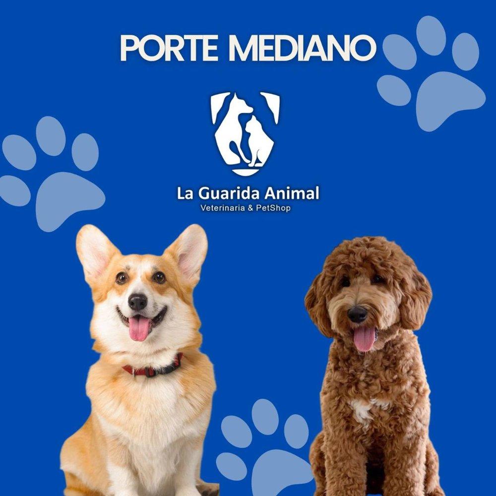 Baño Mediano