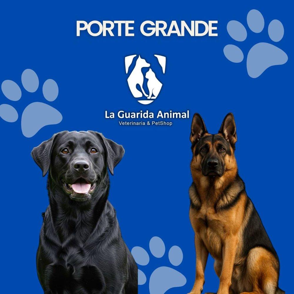 Baño Grande