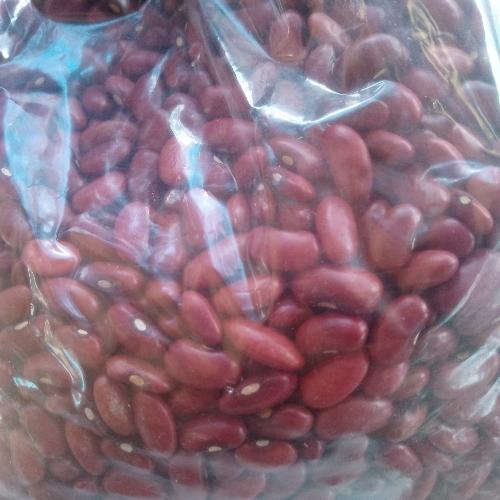 Frijol Rojo