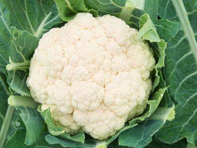 Coliflor 