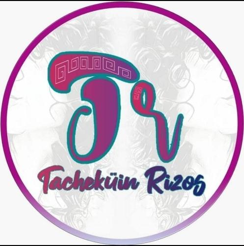 Tachekuin rizos 