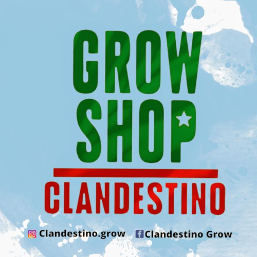 Clandestino Grow